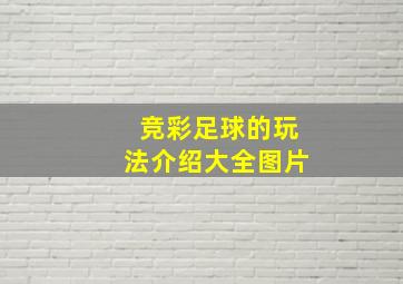 竞彩足球的玩法介绍大全图片