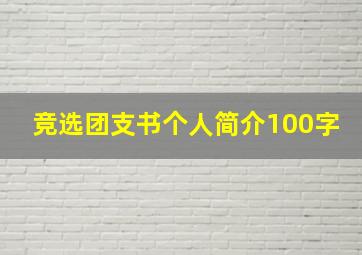 竞选团支书个人简介100字