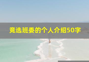 竞选班委的个人介绍50字