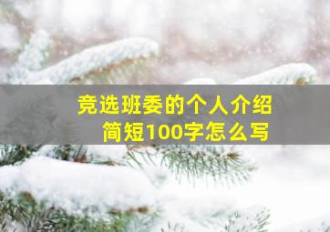 竞选班委的个人介绍简短100字怎么写