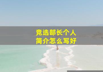 竞选部长个人简介怎么写好