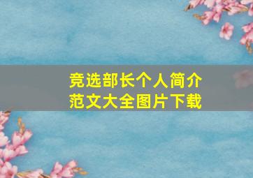 竞选部长个人简介范文大全图片下载