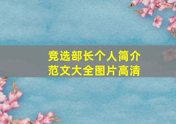 竞选部长个人简介范文大全图片高清