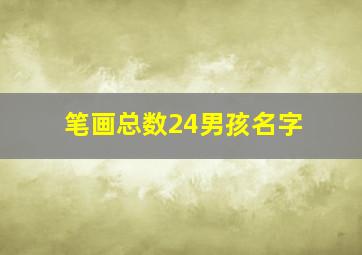 笔画总数24男孩名字