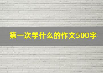 第一次学什么的作文500字