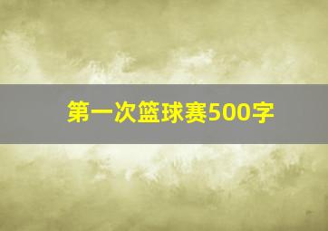 第一次篮球赛500字