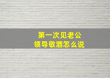 第一次见老公领导敬酒怎么说