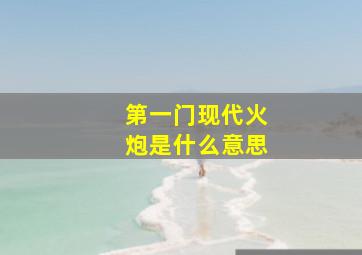 第一门现代火炮是什么意思