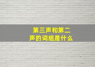 第三声和第二声的词组是什么