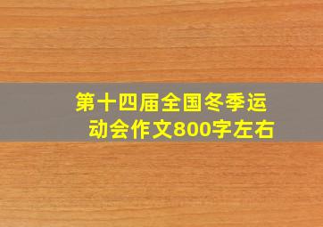 第十四届全国冬季运动会作文800字左右