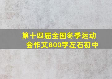 第十四届全国冬季运动会作文800字左右初中