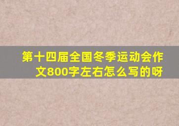 第十四届全国冬季运动会作文800字左右怎么写的呀