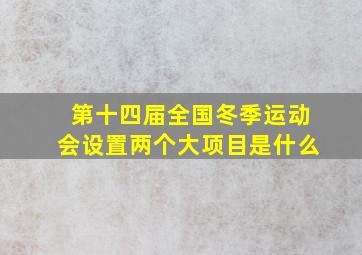 第十四届全国冬季运动会设置两个大项目是什么