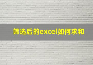 筛选后的excel如何求和