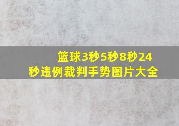 篮球3秒5秒8秒24秒违例裁判手势图片大全