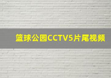 篮球公园CCTV5片尾视频