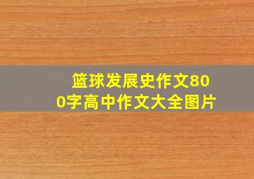 篮球发展史作文800字高中作文大全图片