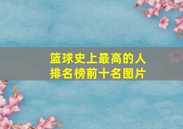 篮球史上最高的人排名榜前十名图片