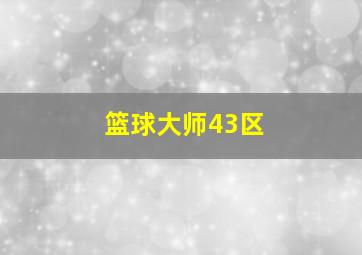 篮球大师43区