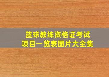 篮球教练资格证考试项目一览表图片大全集