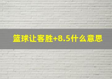 篮球让客胜+8.5什么意思