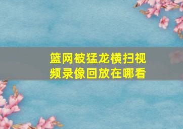 篮网被猛龙横扫视频录像回放在哪看