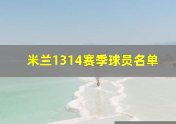 米兰1314赛季球员名单