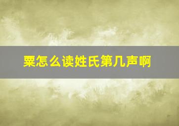 粟怎么读姓氏第几声啊