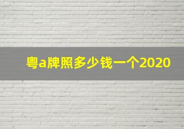 粤a牌照多少钱一个2020