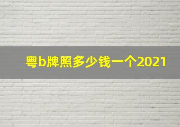 粤b牌照多少钱一个2021