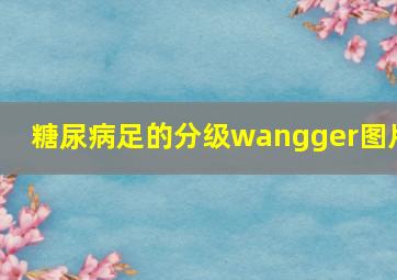 糖尿病足的分级wangger图片