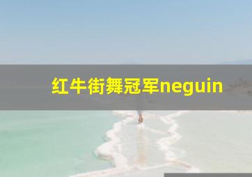 红牛街舞冠军neguin