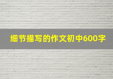 细节描写的作文初中600字