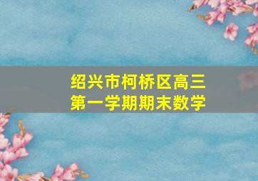 绍兴市柯桥区高三第一学期期末数学