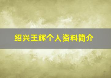 绍兴王辉个人资料简介