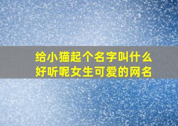 给小猫起个名字叫什么好听呢女生可爱的网名