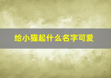 给小猫起什么名字可爱