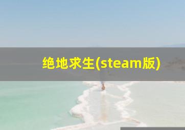 绝地求生(steam版)