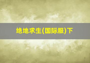 绝地求生(国际服)下