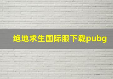 绝地求生国际服下载pubg