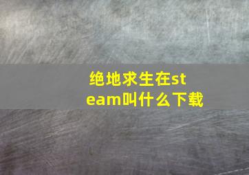 绝地求生在steam叫什么下载