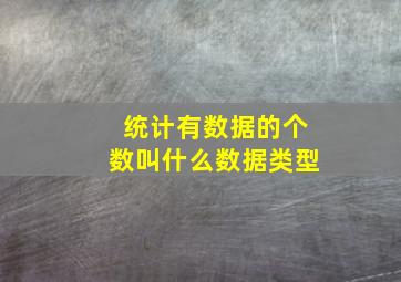 统计有数据的个数叫什么数据类型