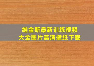 维金斯最新训练视频大全图片高清壁纸下载