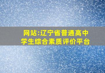 网站:辽宁省普通高中学生综合素质评价平台