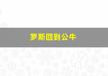 罗斯回到公牛