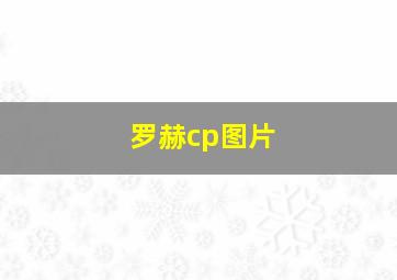 罗赫cp图片