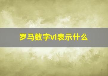 罗马数字vI表示什么