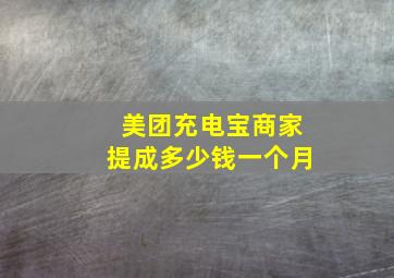 美团充电宝商家提成多少钱一个月