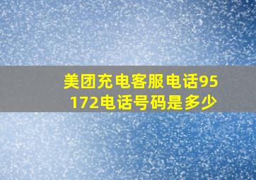 美团充电客服电话95172电话号码是多少