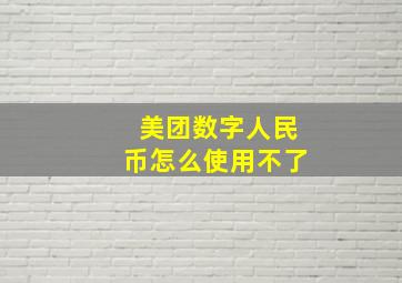 美团数字人民币怎么使用不了